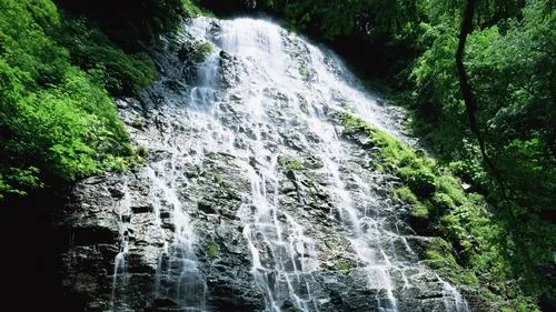 智能高标准